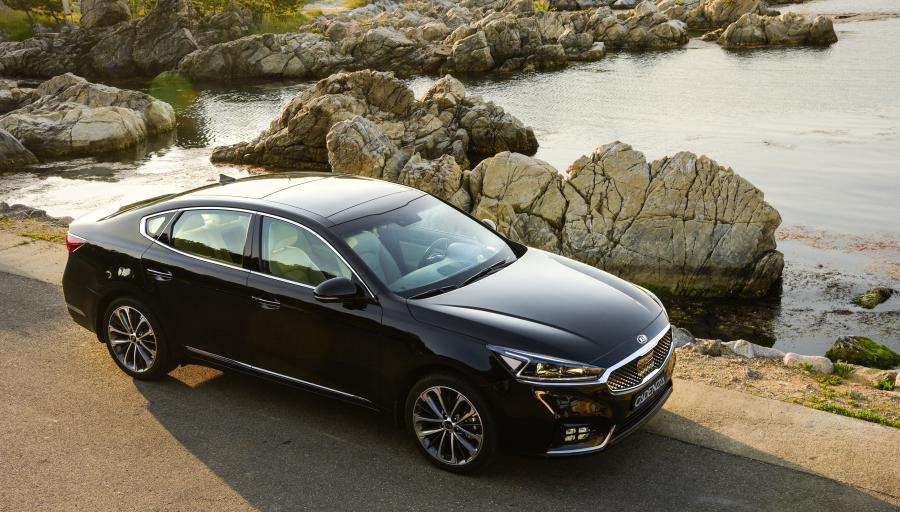  Kia Cadenza 2016 года  (фото 13 из 24)